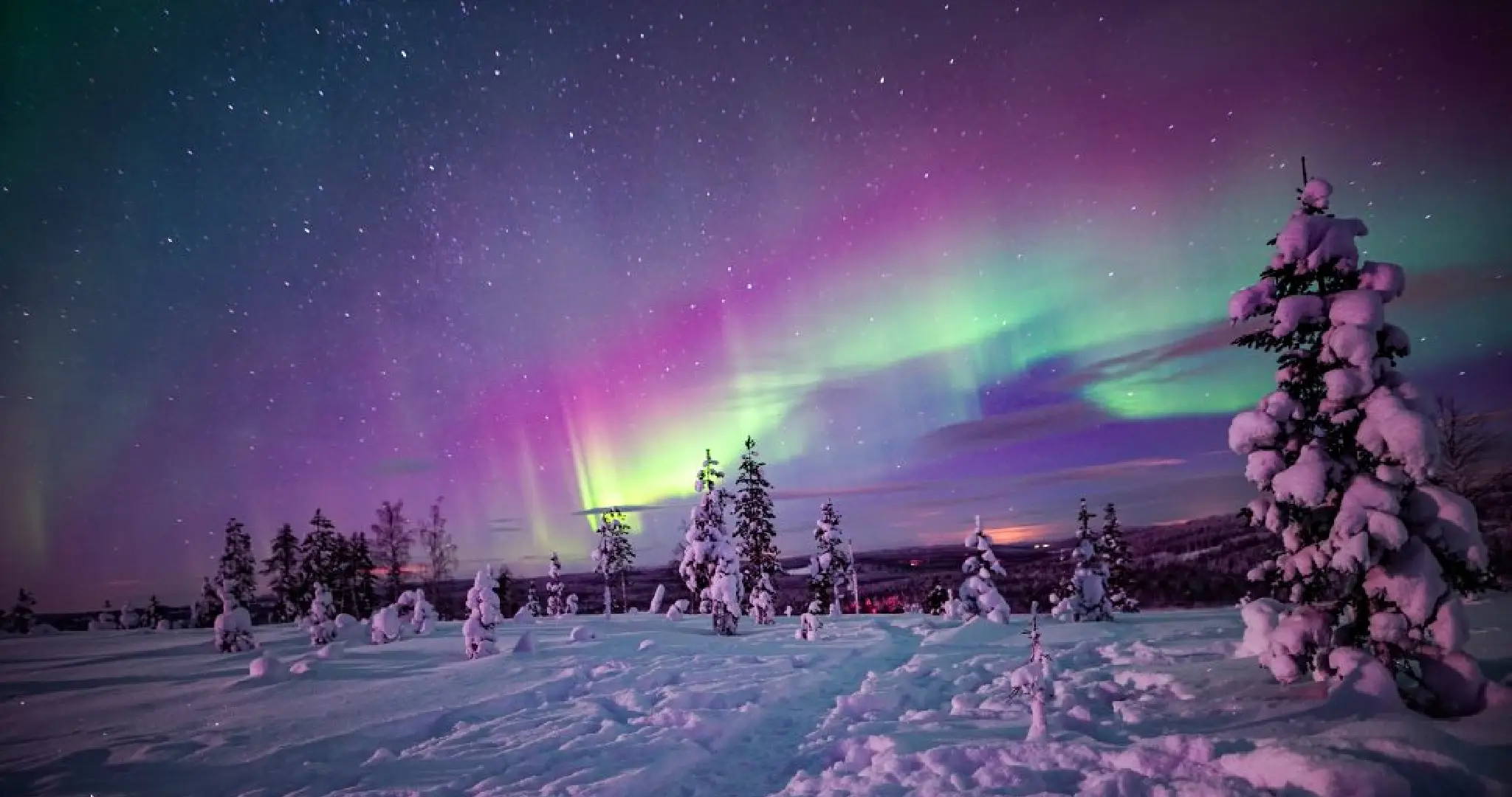 The Celestial Spectacle: 2024's Unprecedented Northern Lights Display 